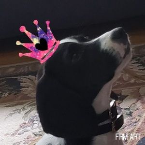 Meet your Posher, Luz